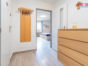 Prodej bytu 1+kk, Trhové Sviny, Branka, 33 m2