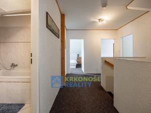 Prodej chaty, Černý Důl, 230 m2