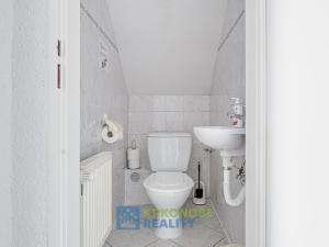 Prodej chaty, Černý Důl, 230 m2