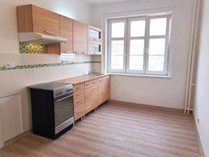 Pronájem bytu 1+1, Teplice, Masarykova třída, 47 m2