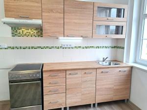 Pronájem bytu 1+1, Teplice, Masarykova třída, 47 m2