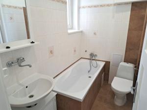 Pronájem bytu 1+1, Teplice, Masarykova třída, 47 m2