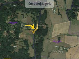 Prodej louky, Přimda - Málkov, 14133 m2