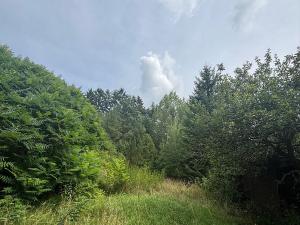 Prodej pozemku, Hrubá Skála - Doubravice, 2827 m2