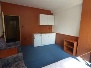 Pronájem bytu 1+kk, Brno, Heršpická, 23 m2