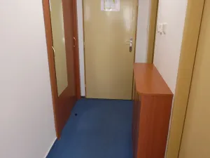 Pronájem bytu 1+kk, Brno, Heršpická, 23 m2