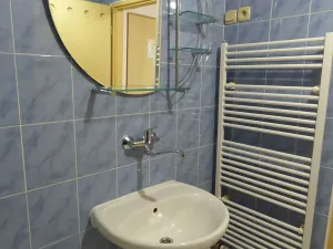 Pronájem bytu 1+kk, Brno, Heršpická, 23 m2