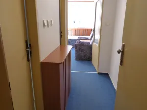 Pronájem bytu 1+kk, Brno, Heršpická, 23 m2