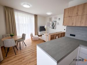 Pronájem bytu 2+kk, Ostrava - Moravská Ostrava, F. X. Riepla, 58 m2