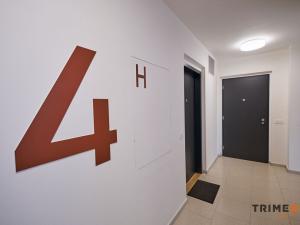 Pronájem bytu 2+kk, Ostrava - Moravská Ostrava, F. X. Riepla, 58 m2