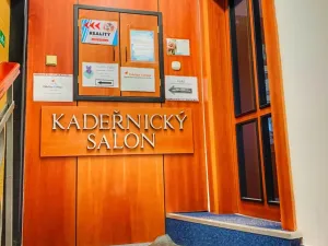 Pronájem obchodního prostoru, Hradec Králové, Škroupova, 53 m2