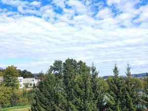 Prodej bytu 3+kk, Světlá nad Sázavou, Lánecká, 92 m2