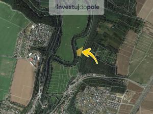 Prodej louky, Písková Lhota - Zámostí, 4024 m2
