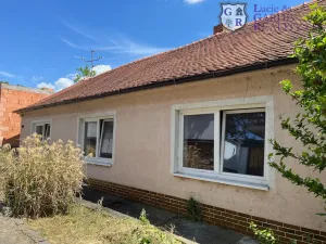 Prodej vinného sklepa, Přítluky, 155 m2