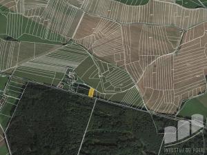 Prodej pole, Dolce, 31522 m2