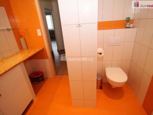 Pronájem bytu 2+1, Lázně Kynžvart, Dlouhá, 60 m2