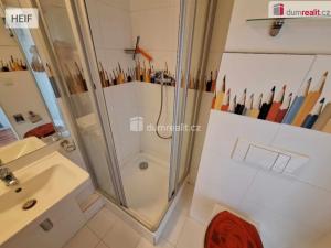 Pronájem bytu 1+kk, Praha - Karlín, Molákova, 35 m2
