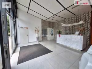 Pronájem bytu 1+kk, Praha - Karlín, Molákova, 35 m2