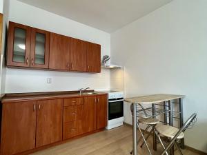 Pronájem bytu 1+kk, Havířov - Šumbark, Střední, 30 m2