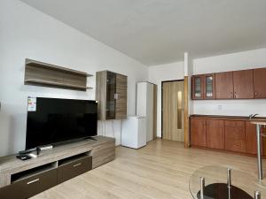 Pronájem bytu 1+kk, Havířov - Šumbark, Střední, 30 m2