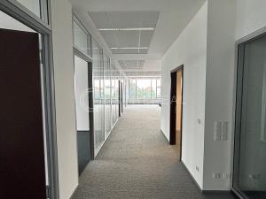 Pronájem kanceláře, Brno - Žabovřesky, Veveří, 1129 m2