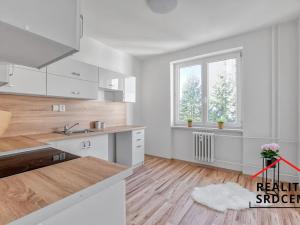 Pronájem bytu 1+1, Karviná, Dělnická, 38 m2