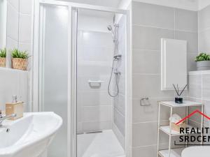Pronájem bytu 1+1, Karviná, Dělnická, 38 m2