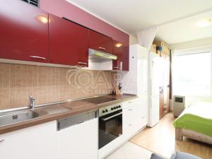 Pronájem bytu 1+kk, Praha - Hloubětín, Nademlejnská, 26 m2
