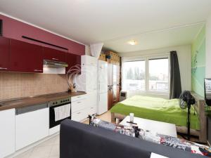 Pronájem bytu 1+kk, Praha - Hloubětín, Nademlejnská, 26 m2