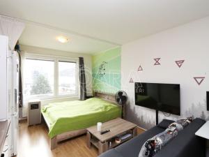 Pronájem bytu 1+kk, Praha - Hloubětín, Nademlejnská, 26 m2