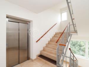 Pronájem bytu 1+kk, Praha - Hloubětín, Nademlejnská, 26 m2