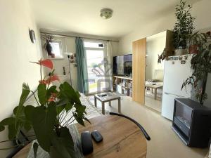 Pronájem bytu 1+kk, Brno - Trnitá, Mlýnská, 23 m2