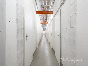 Pronájem bytu 1+kk, Praha - Hloubětín, Poděbradská, 33 m2