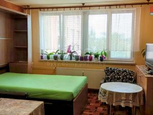 Pronájem bytu 1+kk, Český Těšín, Čáslavská, 32 m2