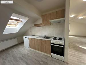 Pronájem bytu 1+kk, Brno - Husovice, Hálkova, 66 m2