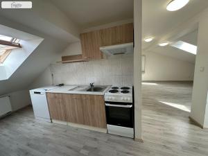 Pronájem bytu 1+kk, Brno - Husovice, Hálkova, 66 m2