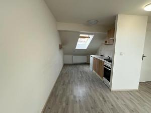 Pronájem bytu 1+kk, Brno - Husovice, Hálkova, 66 m2