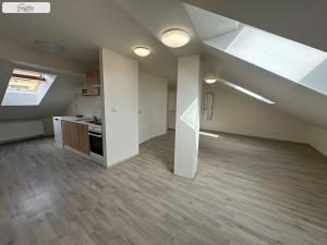 Pronájem bytu 1+kk, Brno - Husovice, Hálkova, 66 m2