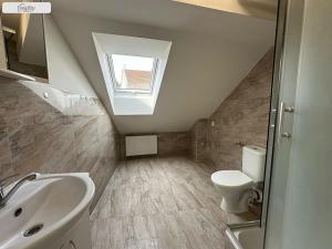 Pronájem bytu 1+kk, Brno - Husovice, Hálkova, 66 m2