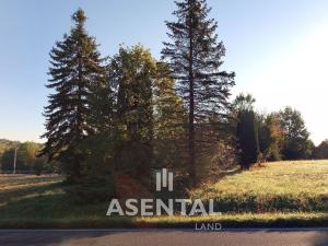 Prodej pozemku, Orlová - Lazy, Lazecká, 4310 m2