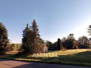 Prodej pozemku, Orlová - Lazy, Lazecká, 4310 m2