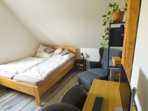 Pronájem bytu 2+kk, Liberec - Liberec I-Staré Město, Vzdušná, 69 m2