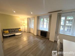 Pronájem bytu 1+1, Praha - Žižkov, Biskupcova, 47 m2