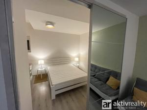 Pronájem bytu 1+1, Praha - Žižkov, Biskupcova, 47 m2