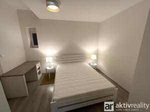Pronájem bytu 1+1, Praha - Žižkov, Biskupcova, 47 m2