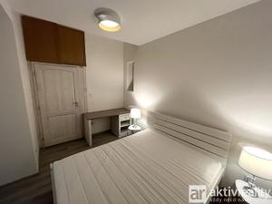 Pronájem bytu 1+1, Praha - Žižkov, Biskupcova, 47 m2
