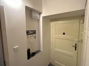 Pronájem bytu 1+1, Praha - Žižkov, Biskupcova, 47 m2