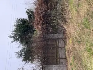Dražba rodinného domu, Zalužany, 172 m2