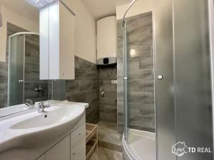 Pronájem bytu 1+1, Brno, Záhumenice, 40 m2