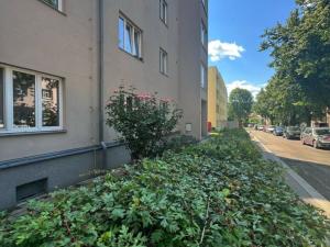 Pronájem bytu 1+1, Praha - Veleslavín, Za vokovickou vozovnou, 50 m2